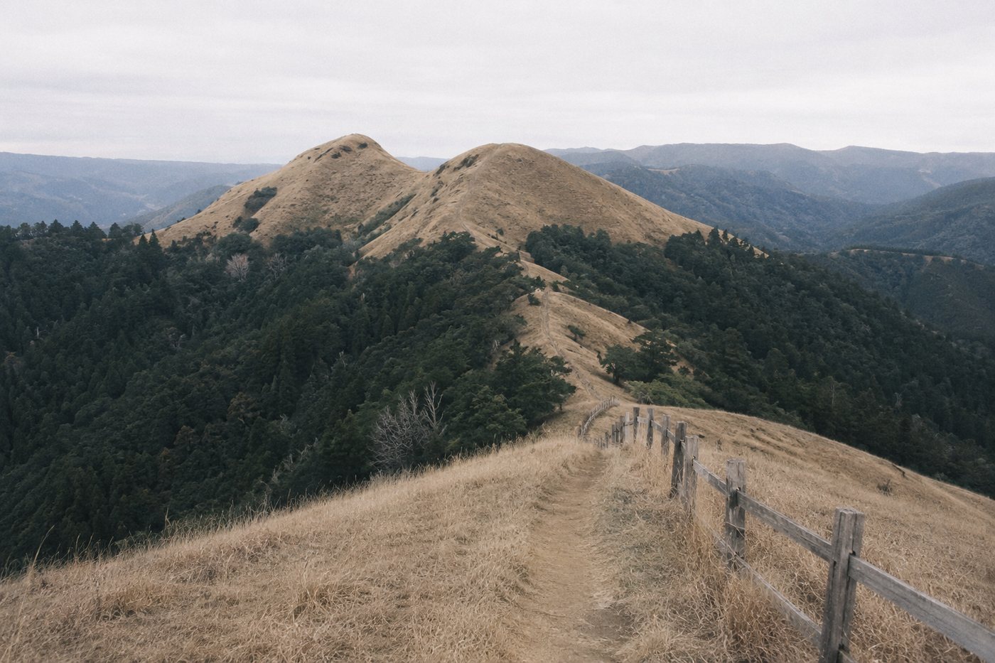 Open golden hills above Portola Valley